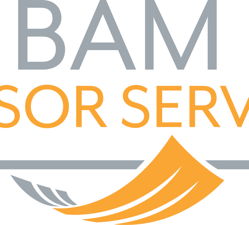 Bam Advisor Services (800x724), Png Download