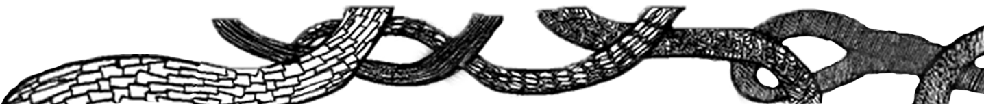 P7 Button Type 25 Apr 2014 - Illustration (1435x710), Png Download