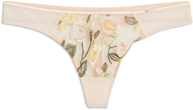 Thong Low With Embroidery Skin - Underpants (888x888), Png Download