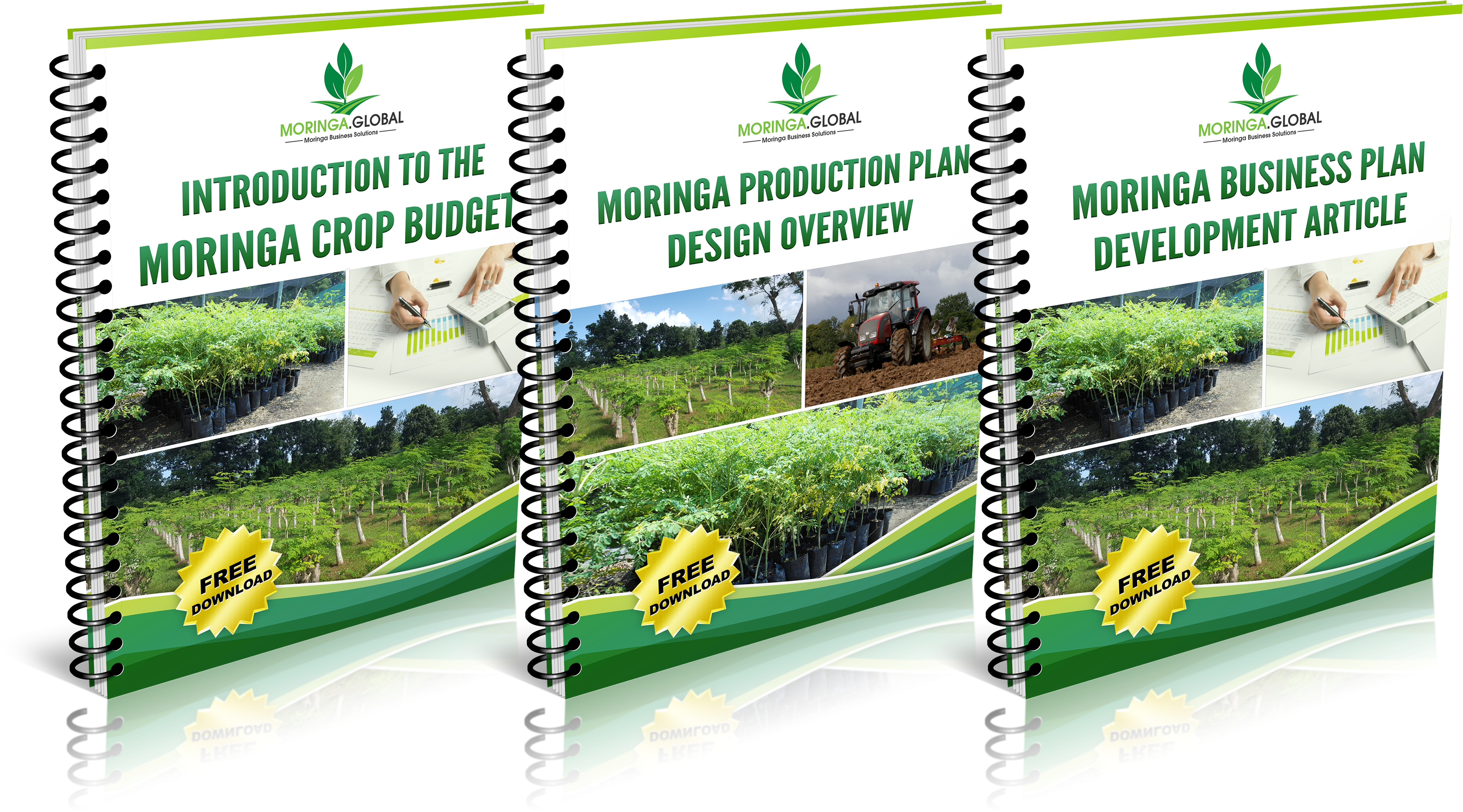 To Get Instant Access To All The Documents, Click Here - Flyer (4000x2291), Png Download