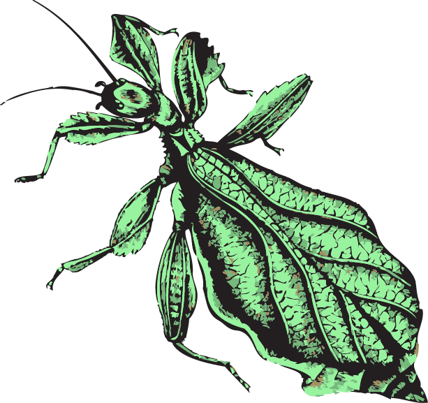 Publications - Illustration (613x577), Png Download