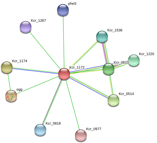 Diagram (976x523), Png Download