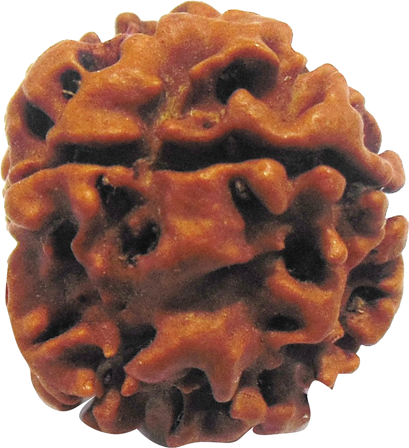 Shop Now - Belgian Waffle (1386x1500), Png Download