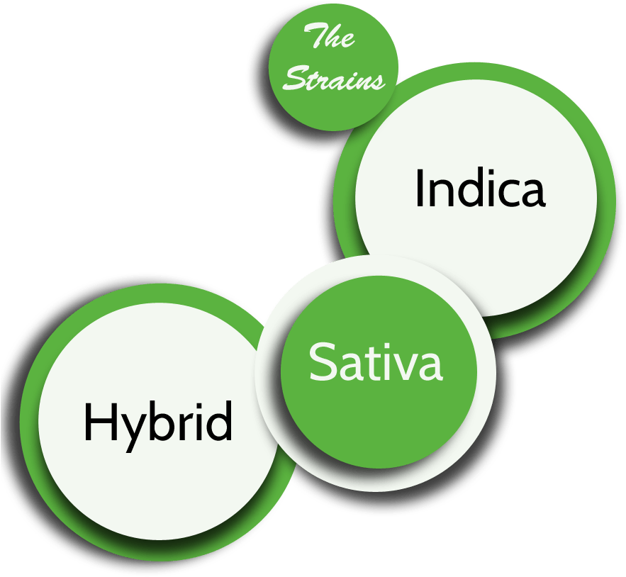 Which One Is Right For You - Circle (900x901), Png Download