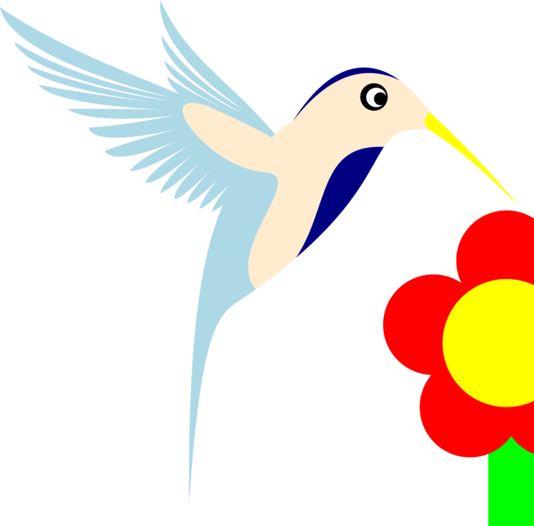 Hummingbird Computer Icons Beak (762x750), Png Download