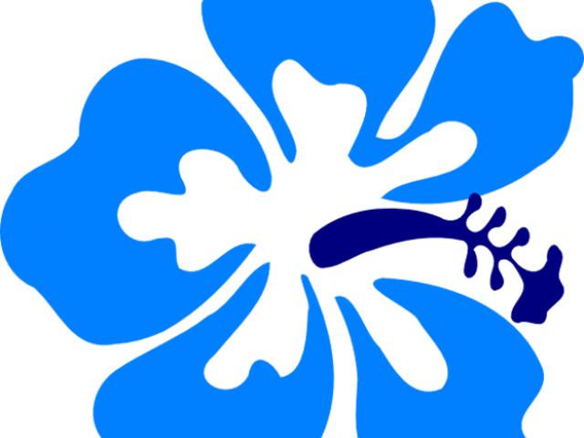 Original - Clip Art Hibiscus Flower Png (640x480), Png Download