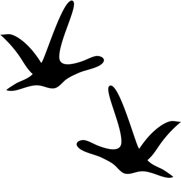 Turkey Tracks Clipart - Turkey Tracks Png (600x600), Png Download