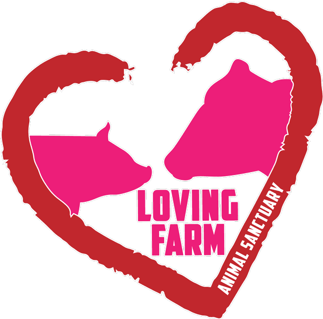 Open House At Loving Farm Animal Sanctuary This Saturday - Love (650x650), Png Download