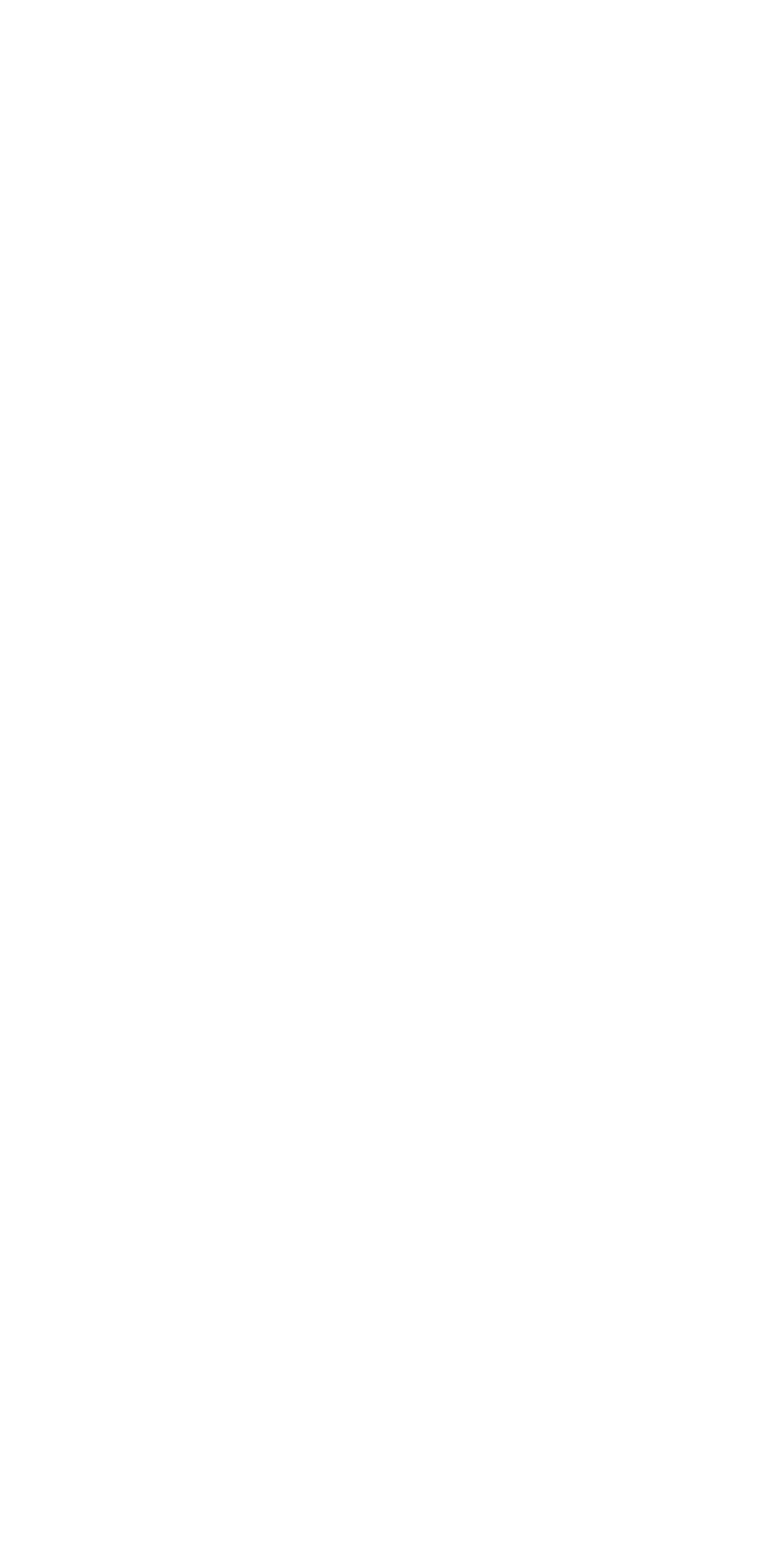 The Image Gallery Carousel Displays A Single Slide - Poster (727x1537), Png Download