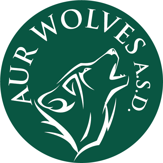 Aur Has Access To A Local Parish's Basketball Court - Emblem (570x570), Png Download