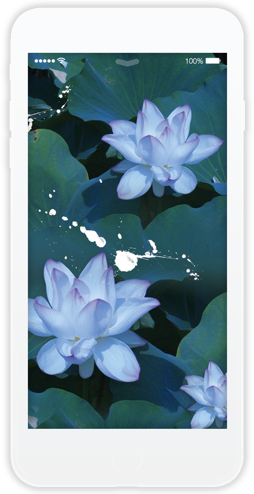 Lilys Light - Smartphone (750x1000), Png Download