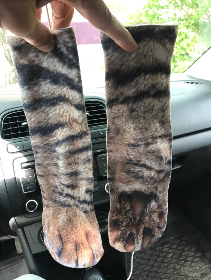 Knee-high Boot (900x900), Png Download