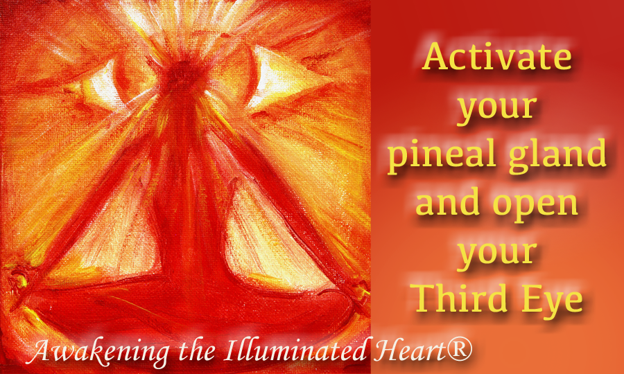 23-26 Where You Will Be Given The Process To Activate - Poster (900x540), Png Download