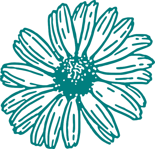 픽사베이 Flower Svg, Flower Outline, Flower Clipart, Silhouette - Gerber Daisy Black And White Clipart (640x617), Png Download