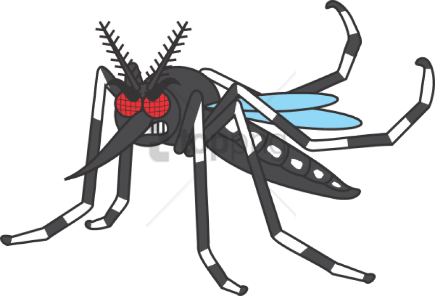 Free Png Download Mosquito Desenho Png Images Background - Desenho Do Mosquito Da Dengue (850x578), Png Download