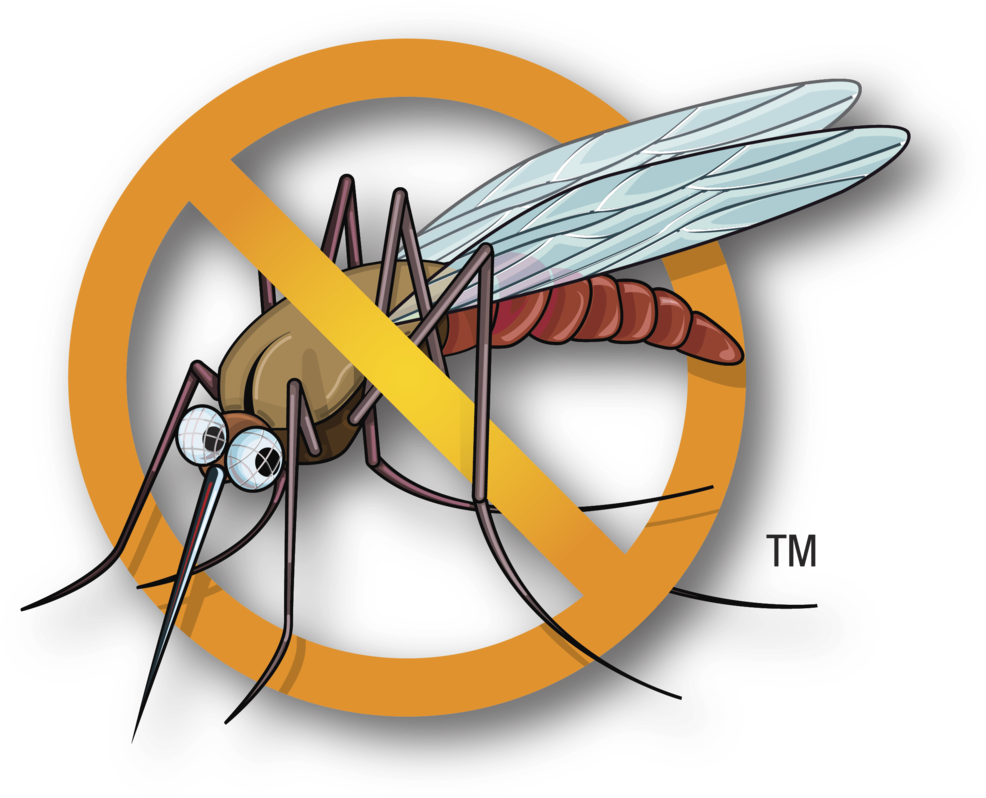 Mosquito Clipart Malaria Mosquito - No Mosquito Icon Png (1024x839), Png Download