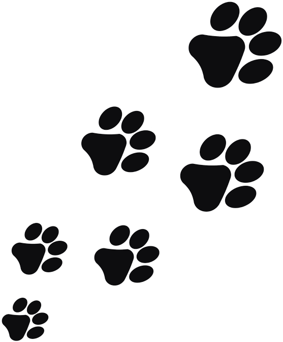 Impronte Cane Png (720x720), Png Download