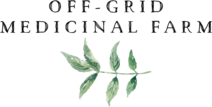 Elder Farm Off Gr - Tree (1000x500), Png Download