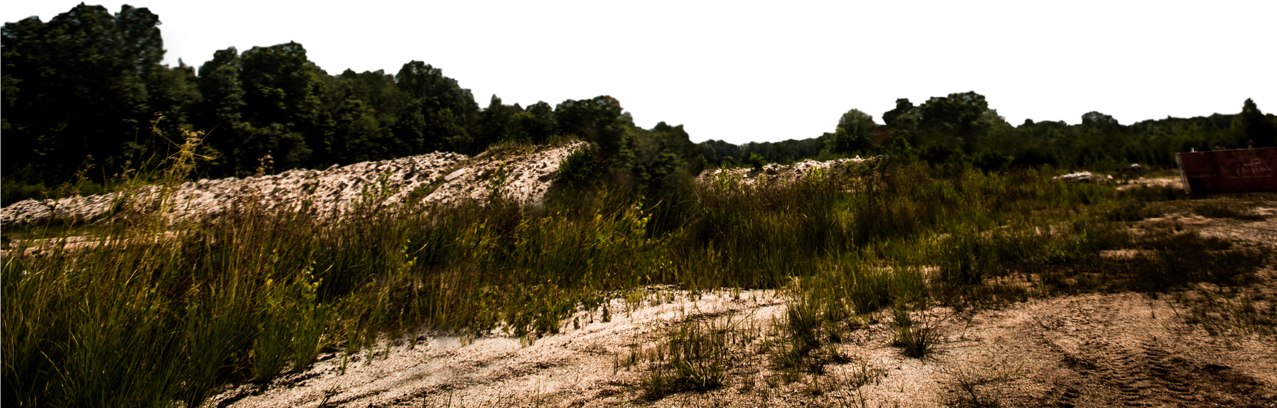 We Do It - Tree (2500x863), Png Download