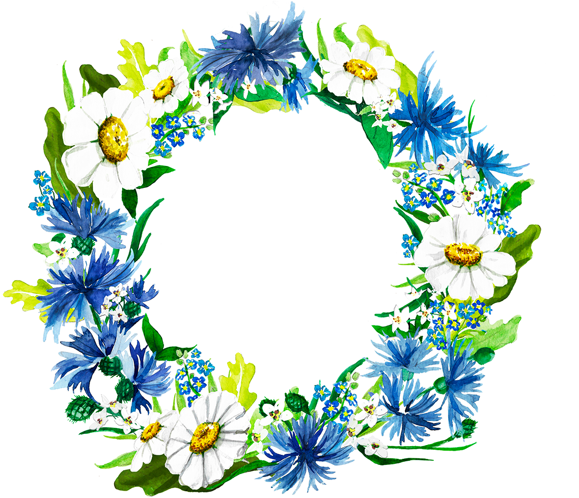 Share - African Daisy (1200x1118), Png Download