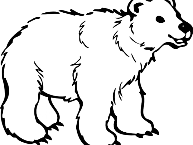 Mammal Clipart Spirit Bear - Free Clipart Black And White Animals (640x480), Png Download