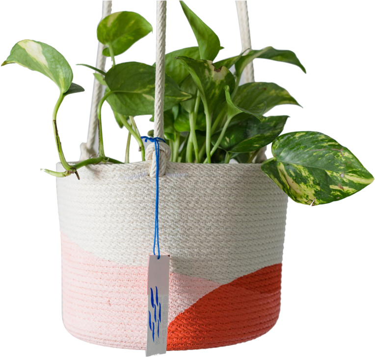 Pink / Red Orange - Flowerpot (960x960), Png Download
