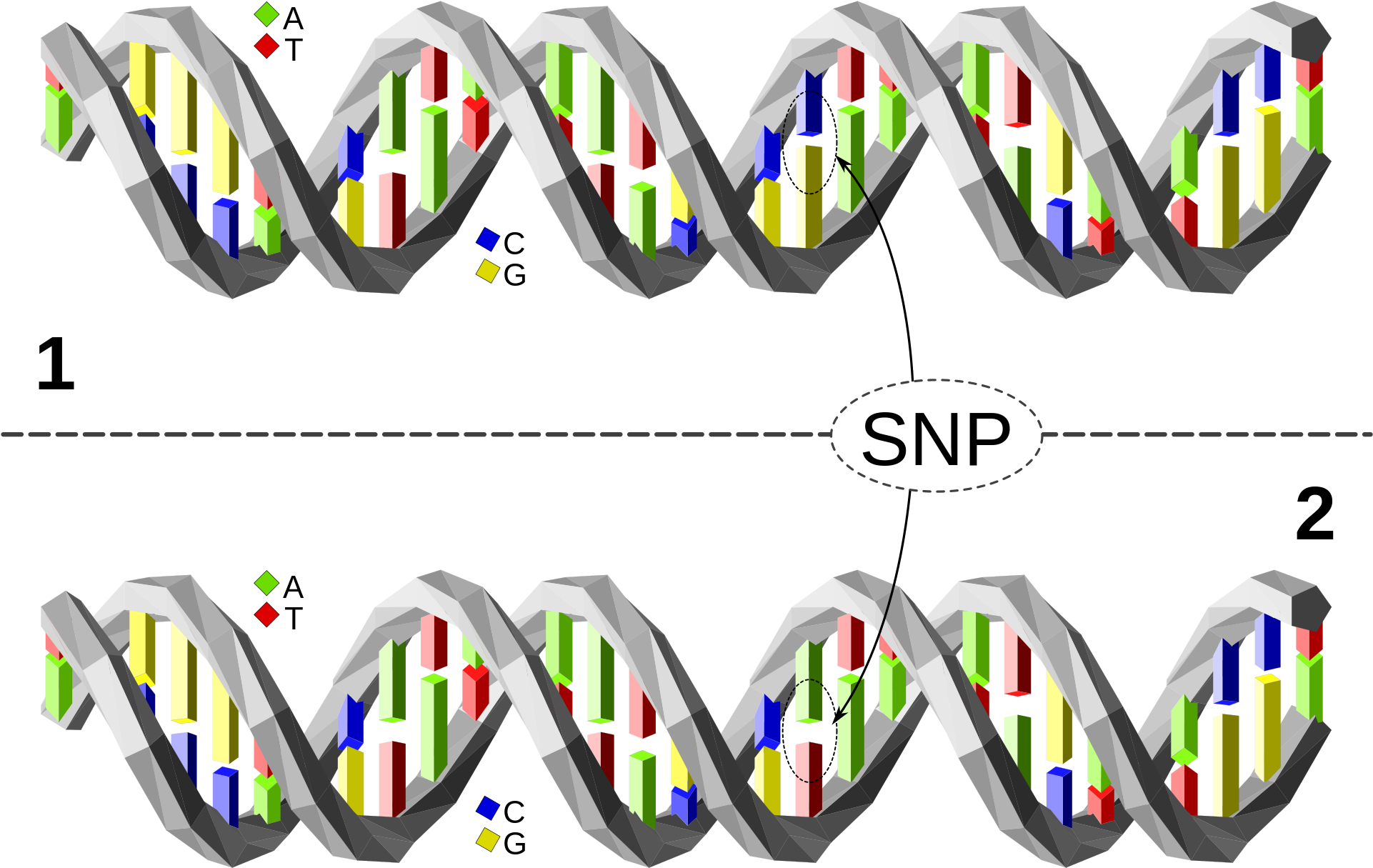 2000 X 1304 16 - Single Nucleotide Polymorphism (2000x1304), Png Download