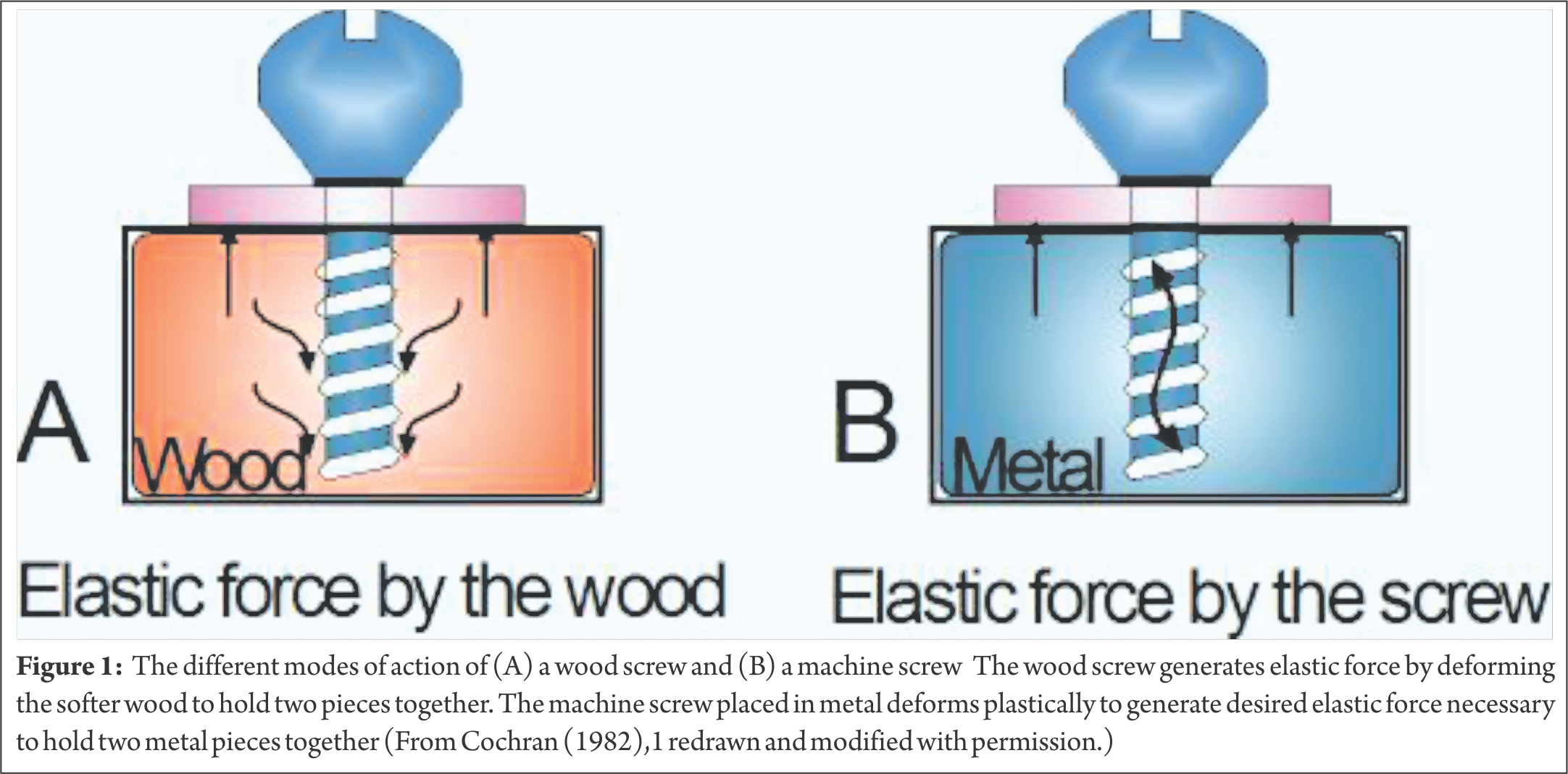 Biomechanics Of Cancellous Screw Trauma International - Graphic Design (2164x1068), Png Download