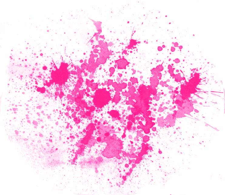 Darling - Dearest - Dead - - Ufc Mma (742x643), Png Download