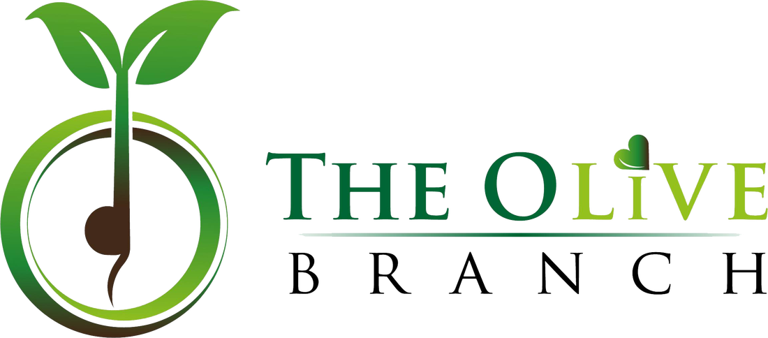 The Olive Branch Frisco Junior Board Volunteer Application (1100x484), Png Download
