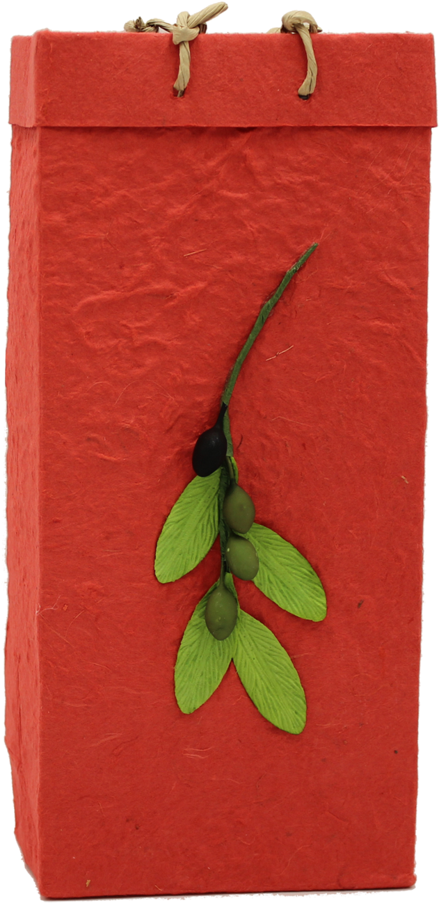 Gift Bag - Handmade Paper - Olive Branch - Red - Double - Paper Bag (1400x1400), Png Download
