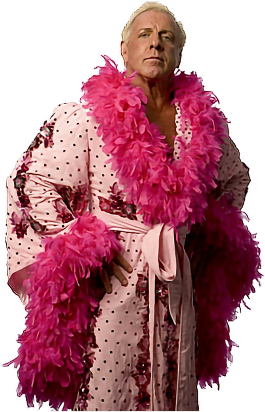 Ricflair Wooooo Thenatureboy Wwe Wwestickers Wwefans - Ric Flair Costume Halloween (1024x1024), Png Download