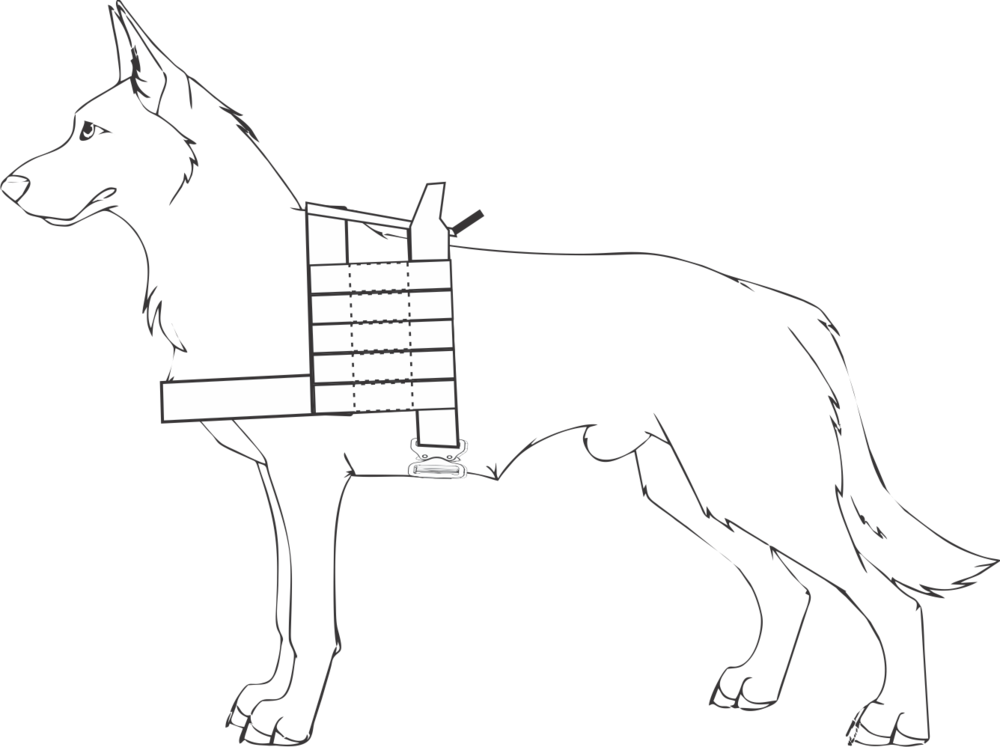 Figure 1 (1000x747), Png Download