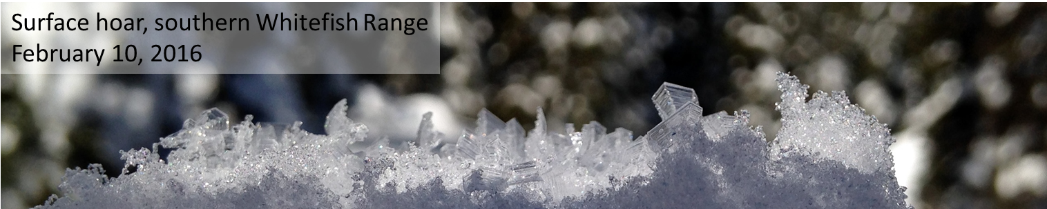 Flatheadavalanche (1524x307), Png Download