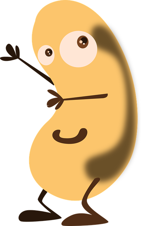 Bean, Potato, Face, Figure, Cartoon, Smile, Happy - Cartoon Bean (453x720), Png Download