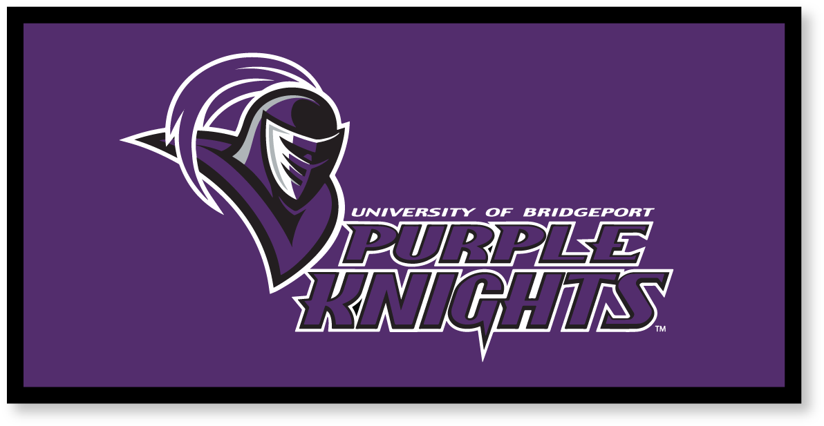 Felt Banner - University Of Bridgeport (1200x626), Png Download
