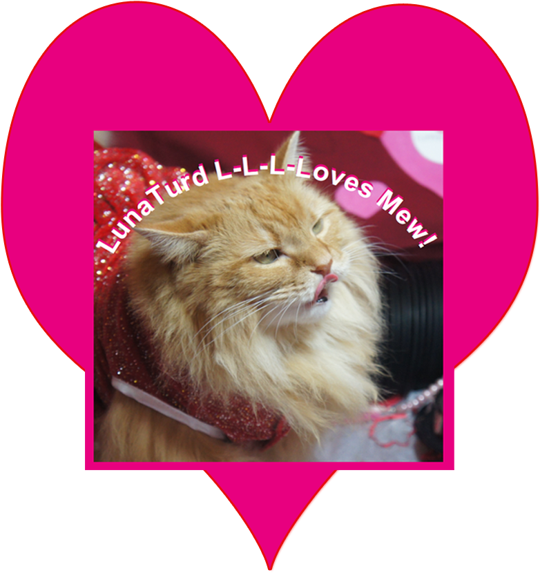 A Lunaturd Love Tune - Cat Yawns (800x855), Png Download