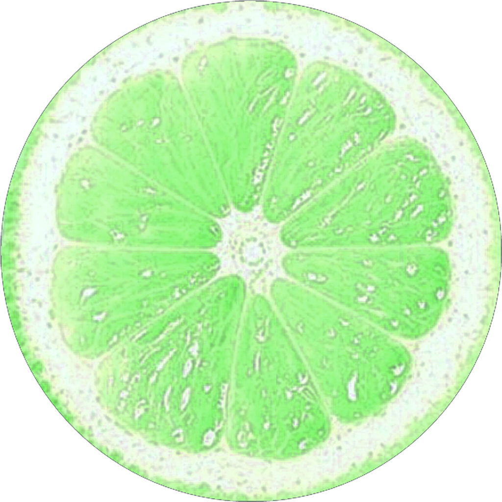 Circle Sticker - Lemon Slice (1024x1024), Png Download