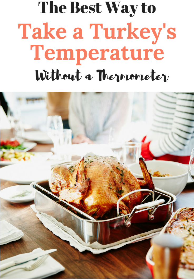The Best Way To Take A Turkey's Temperature Without - Does Salmonella Look On A Turkey (735x1102), Png Download