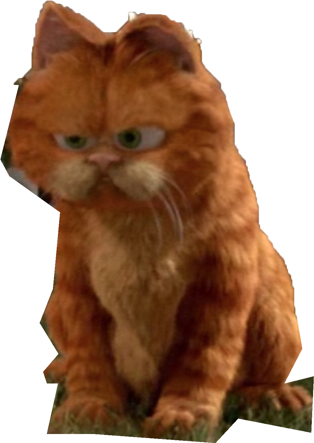 Kitten (1036x1480), Png Download
