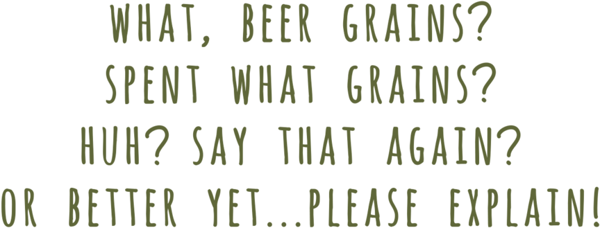 What Beer Grains Text - Black-and-white (1000x367), Png Download