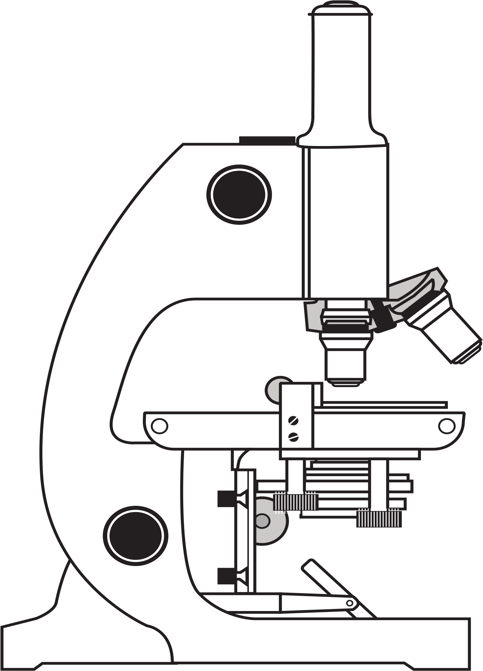 Banner Royalty Free Download Big Image Png - Microscope (1749x2400), Png Download