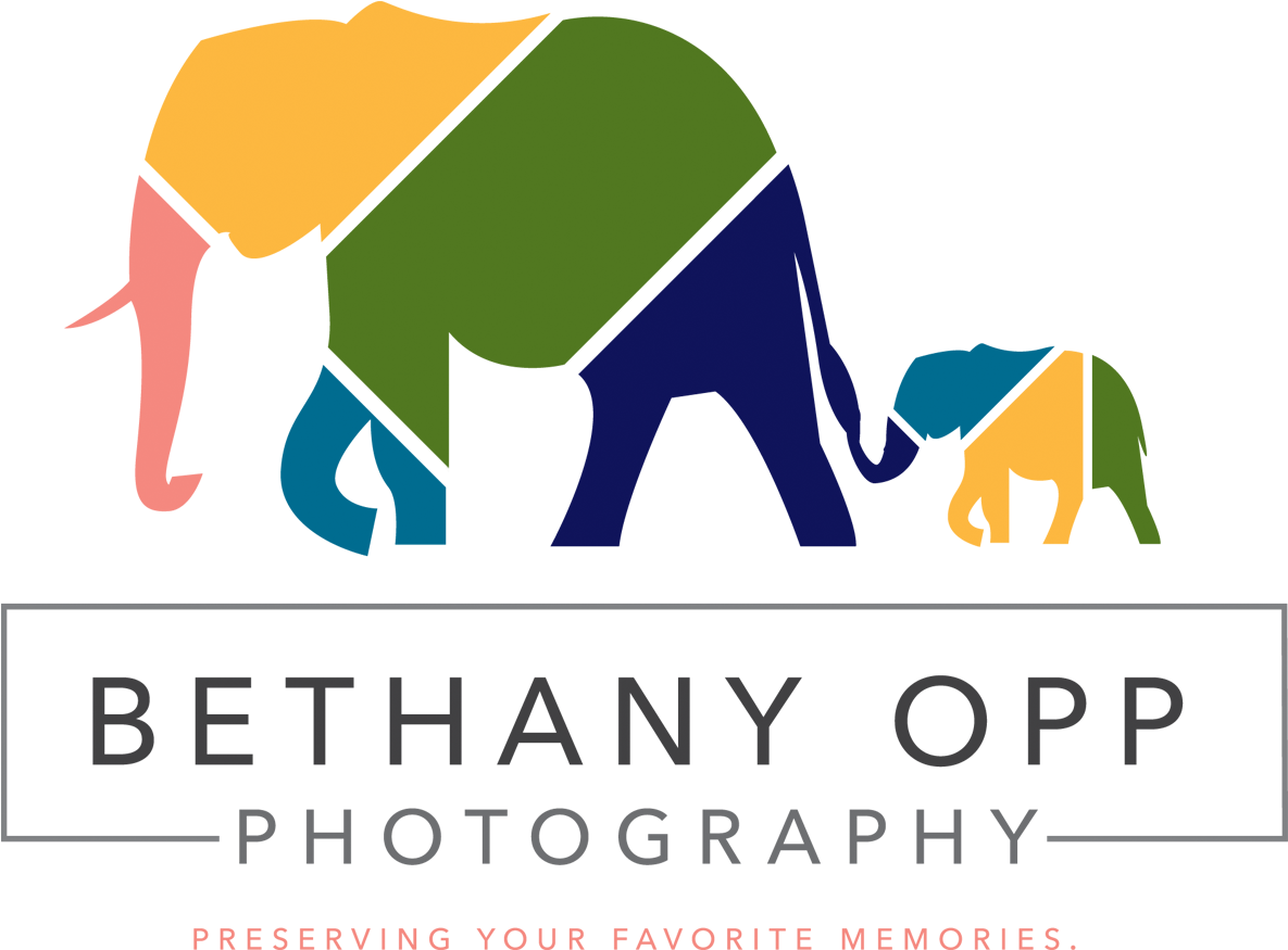 Bethany Opp Photography - Indian Elephant (1200x926), Png Download