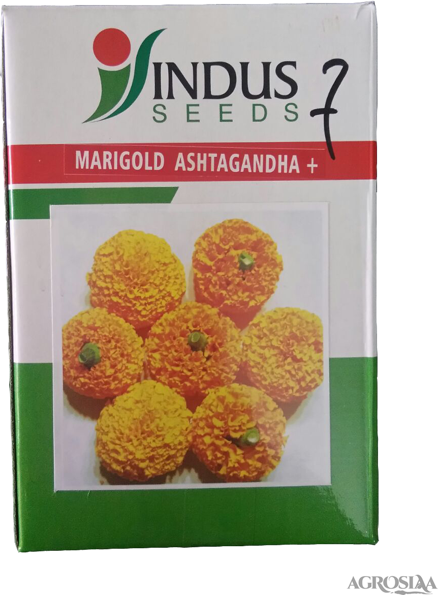 Indus Ashtagandha - Marigold Ashtagandha (960x1280), Png Download