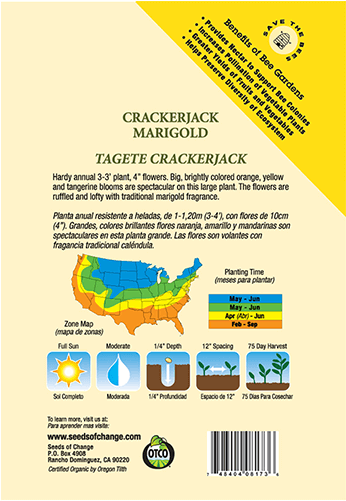 Organic Crackerjack Marigold Flower Seeds - Otco Seed Package (573x573), Png Download