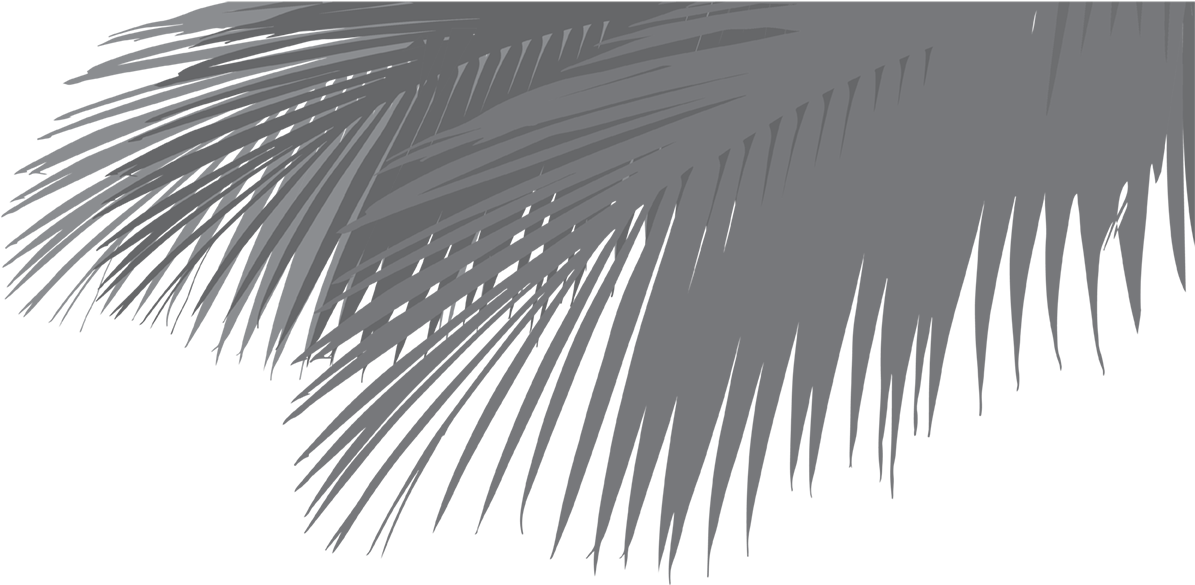 Dc-leaf - Roystonea (1920x1080), Png Download