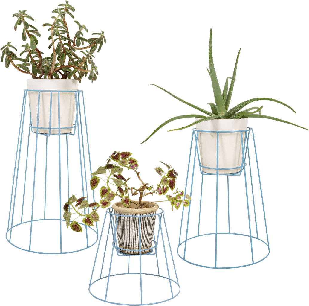 Plant Stand Cibele - Cibele Plant (1080x1120), Png Download