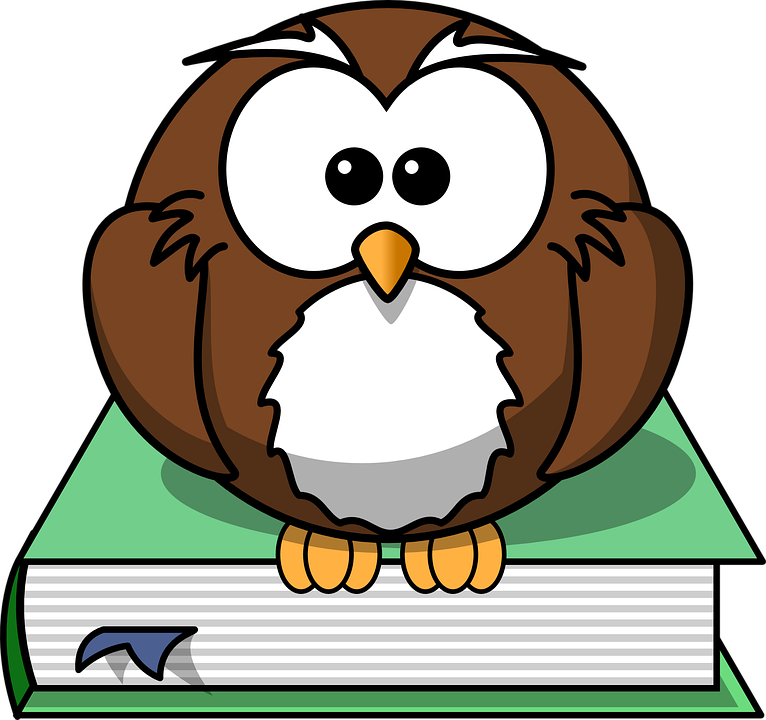 Knowledge Clipart Background Knowledge - Cartoon Owl On Book (766x720), Png Download