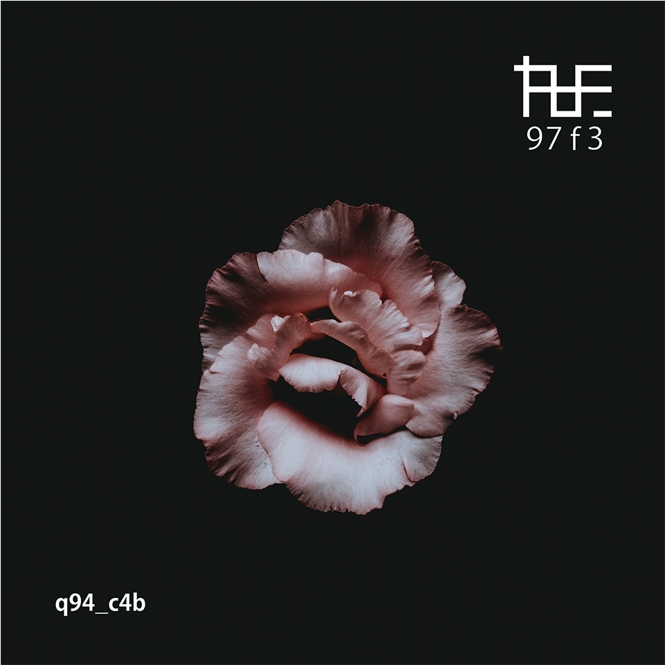 Sounds - Обои На Телефон Темные Цветы (1280x960), Png Download