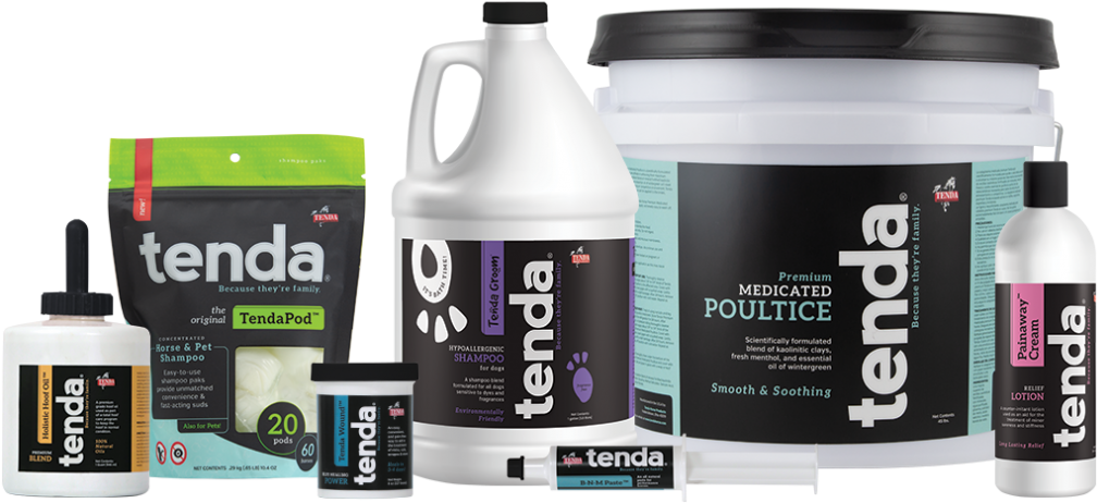 Equine & Pet Care - Bottle (1024x487), Png Download